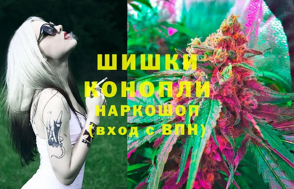 винт Аркадак