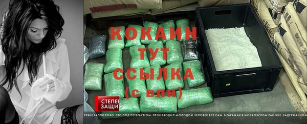 винт Аркадак