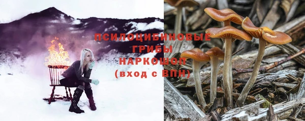 винт Аркадак