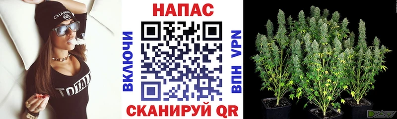 Бошки марихуана гибрид  Павловск 